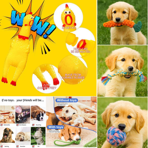 PETZLUV YOUHAVEDEAL Dog Toys |Squawking Chicken Rubber Squeeze Dog  Toys(LARGE)|Chew Rope Cotton Ball, Fetch Toy, Chew Toy, Tug Toy, Rubber  Toy,