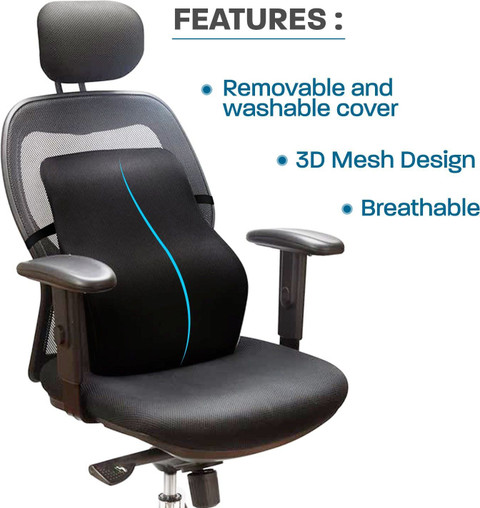 Sleepsia Memory Foam Lumbar Pillow Pack of Solid Orthopedic