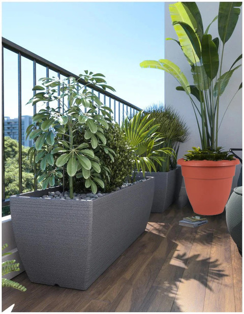 snake plant air purifier 8