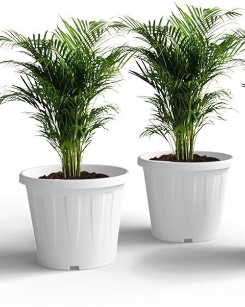 Dervino Nursery Plastic Pots 10 Inch White, Seedlings Plant Pots for Indoor  Outdoor Plant Container Set Price in India - Buy Dervino Nursery Plastic Pots  10 Inch White, Seedlings Plant Pots for