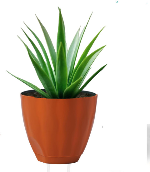 Padchaaya Gamla Pots with Bottom Plates Garden Planters with Drain Holes for Home Plants Plant Container Set Price in India - Buy Padchaaya Gamla Pots with Bottom Plates Garden Planters with Drain