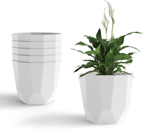 Yuccabe Italia SHERA Hexa 10 Inch Flower Pot Set | Indoor