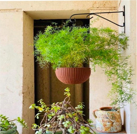 J H HANDICRAFT Plant Hanger Outdoor and Indoor Ring Holder Wall Plant,Black  Flower Pot Ring Plant Container Set