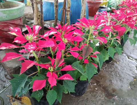 Buy Products Online at Best Price in India - All Categories