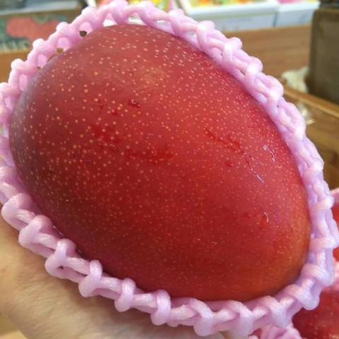 Miyazaki Mango Plant Price in India - Buy Miyazaki Mango Plant