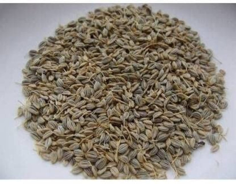 parsley in telugu images