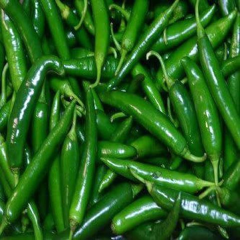KANAYA hot chilli vegetables Seed Price in India - Buy KANAYA hot