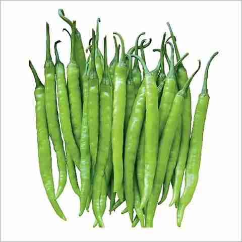 野菜 Maaya KANAYA Chilli Mirchi Seed Price in India - Buy KANAYA Chilli
