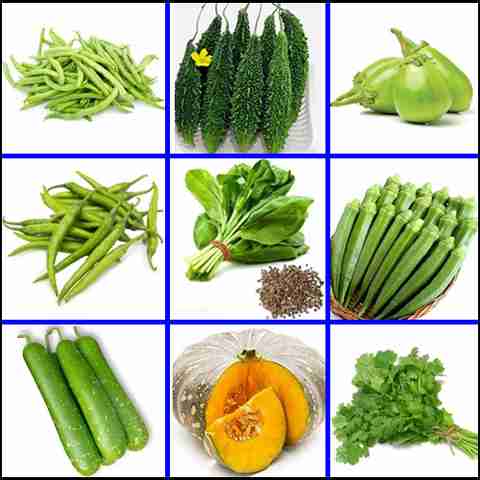 10-mix-vegetable-plantn-