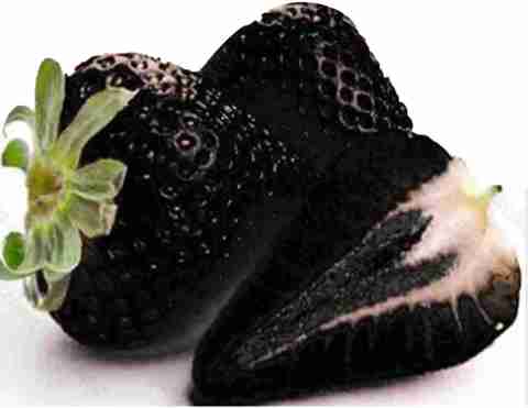 kids gardening gloves Janod Happy Garden Gloves