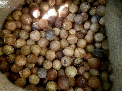 AK traders REETHA, RITHA, SOAP NUT, ACACIA CONCINNA, Aritha Seed