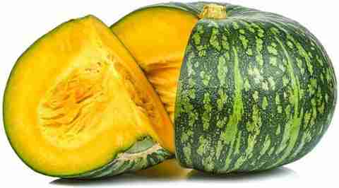 パンプキンヘッド('88米) Quentova Organic Pumpkin/Kashiphal - high quality Seed Price in