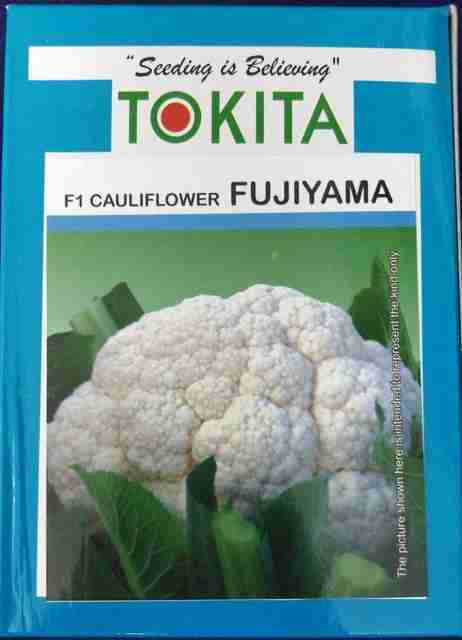 TOKITA Cauliflower, Fujiyama - 10 gm Seed Price in India - Buy
