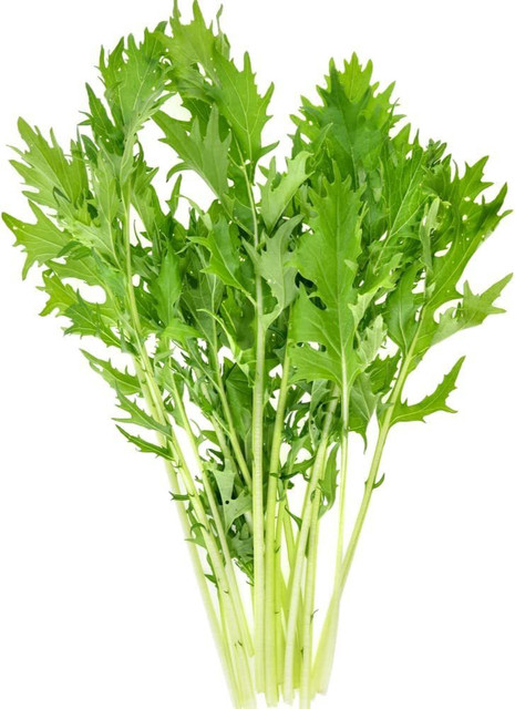 VibeX ® VXI-153 Mizuna (Heirloom Japanese Mustard Greens) Seed