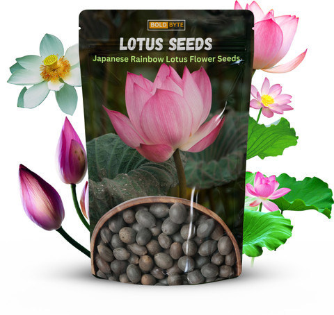 pots for tomato plants Easy to Grow Bulbs Tomato Large Seed