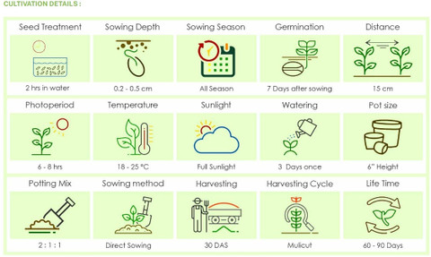 Buy Products Online at Best Price in India - All Categories