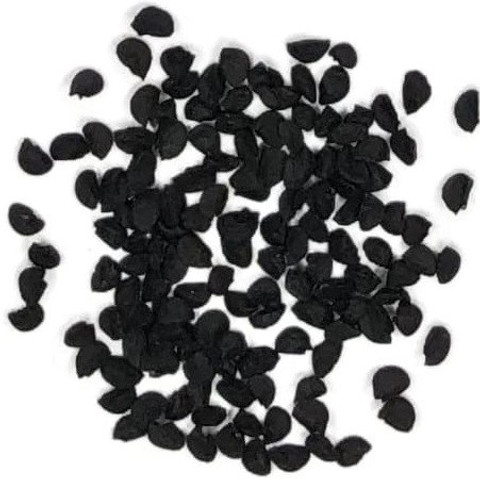 allium ☆ Giant Onion 100+ Seeds Allium Giganteum Flower Plant Home