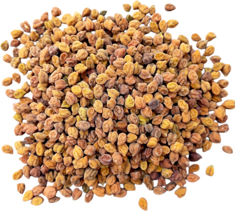 KILESHWAR Premium Chana Seeds Desi chana Seed Price in India - Buy