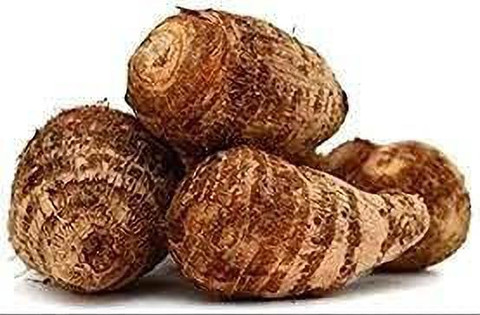 KANAYA Taro Root Arabi Beej Seed Price in India - Buy KANAYA Taro