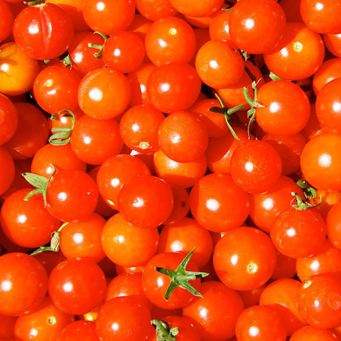 Manomay Tomato Seeds for Gardening 150 Seeds NT14 Seed Price in