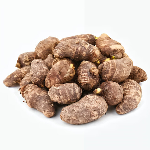LIFELEX Taro Root Plant Seeds, Arbi Seeds, Kachalu Seed Price in