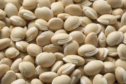 BDSresolve flat beans seeds Seed Price in India - Buy