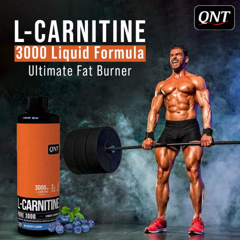 QNT L Carnitine 3000 Liquid |Rapid Absorption | Helps to boost strength and  power EAA (Essential Amino Acids) Price in India - Buy QNT L Carnitine 3000  Liquid |Rapid Absorption | Helps