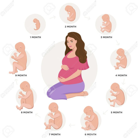 prosup Protein powder with vitamins minerals DHA GLA Weight