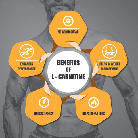 l carnitine pre workout benefits Eligator L-Carnitine Liquid 3500MG Pre-workout | Converts Fat to Muscles  (Mango) BCAA Price in India - Buy Eligator L-Carnitine Liquid 3500MG Pre- workout