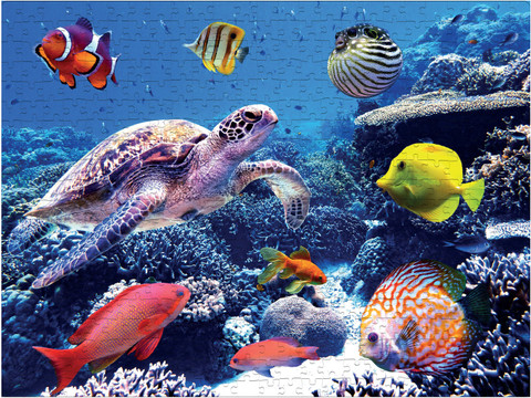 Ocean Shark 1000-Piece Jigsaw Puzzle For Adults - Marine Wildlife Nature Scene, Includes Poster