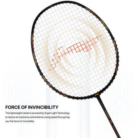 ベトナム産　ヒョウタンゴミムシセット　38-44mm 4589611473893.jpg