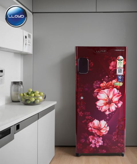 Lloyd 178 L Direct Cool Single Door 2 Star Refrigerator with with