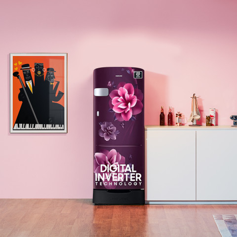 Samsung 223 L Direct Cool Single Door 3 Star Refrigerator with