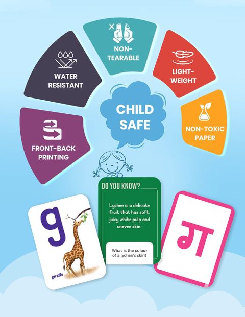Flash Cards For Kids| 224 Non Tearable Cards | Hindi Varnamala, English ...