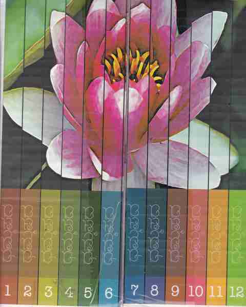 Dhammapada (Set Of 12 Books): Buy Dhammapada (Set Of 12 Books) by