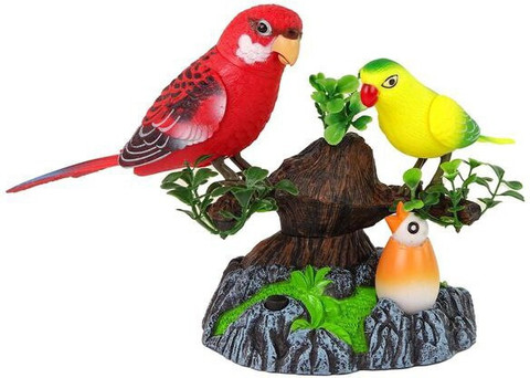 Dherik Tradworld Electric Battery Operated Control Voice-Parrots