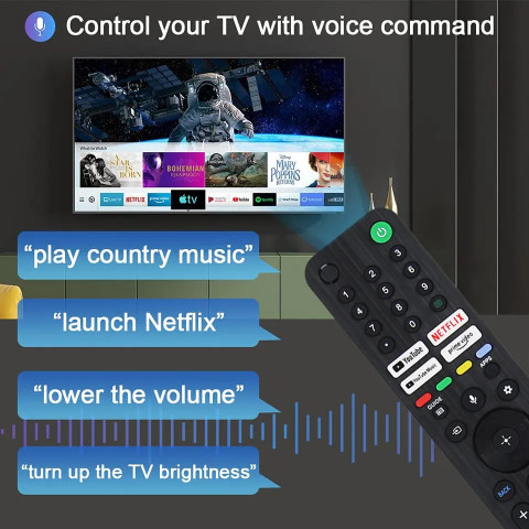Crystonics TX520P Voice Google Assistant Function Remote Control