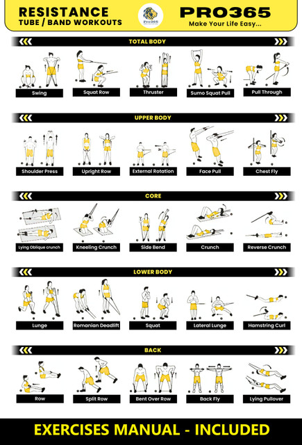 PRO365 Resistance Bands Kit for Strength and Flexibility for Home