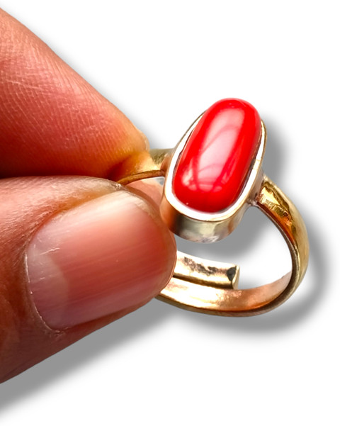Vanishree World Capsule Shape Best Quality Munga/Red coral