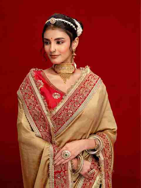 Satrani Embroidered, Embellished Bollywood Silk Blend Saree (Beige) - Image 2