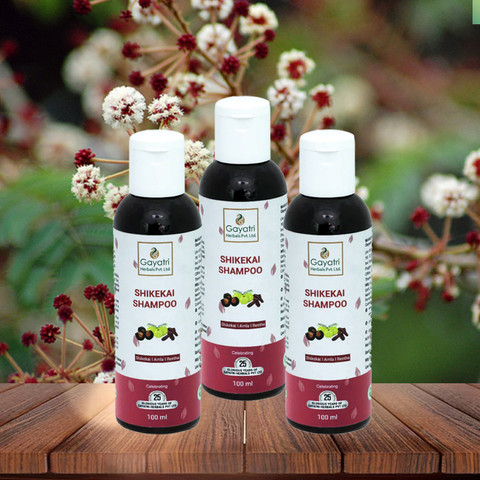 GAYATRI HERBALS PVT. LTD. Shikakai Shampoo 100ml (Pack of 3
