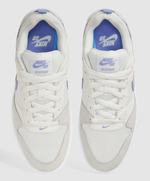 womens nike sb alleyoop