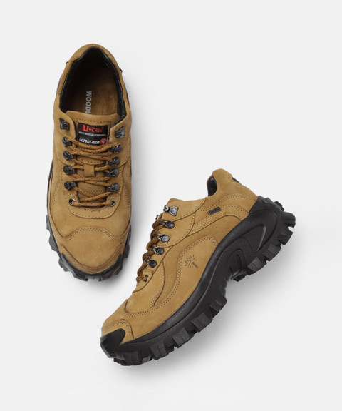 WOODLAND Men Camel Brown Leather Sneakers Sneakers For Men Buy