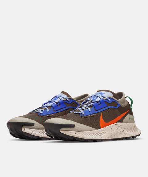 NIKE Pegasus Trail GORE-TEX Running Shoes For Men