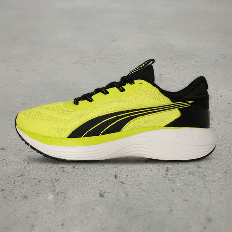 Net Earnings Puma Net Worth Puma Company Profile Business Model Canvas Ppt  Slides CP SS PPT