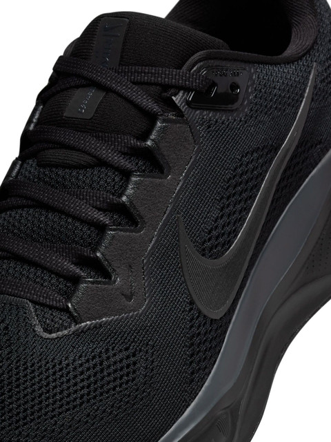 nike pegasus flipkart