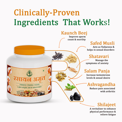 SHREE SAKSHI AYURVEDA Rasayan Amrit – Best Ayurvedic Formula - 300g ...