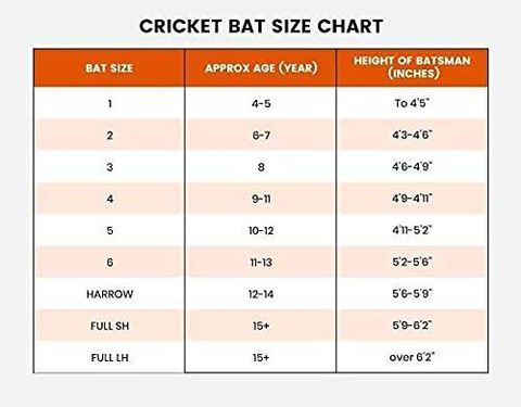 solutions24x7-new-edition-of-6-no-plastic-cricket-bat-for-12-pvc