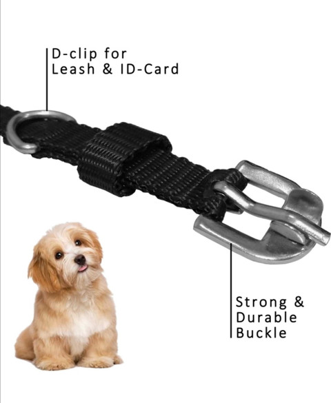 PAW ZONE Inch Set Of Dog Collar and Leash For Young and Large Dogs In  Black Dog Collar Leash