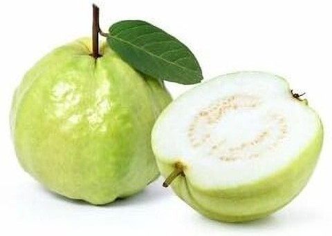 AloGardening Guava Plant Price in India - Buy AloGardening Guava Plant  online at Flipkart.com